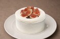 渋谷で“まるでケーキのようなかき氷”で注目を集めた「セバスチャン」が、茨城県つくば市に完全予約制・カウンター6席のデザートラボ「Sebastian Labo」をオープン