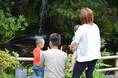 旅館・湯めぐりの宿楠水閣が7月21日から子供対象のミニ縁日＆花火プレゼントを実施。無料の家族風呂など夏休みの思い出作りをお手伝い。