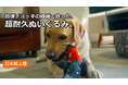 鋼鉄の15倍の強度をもつ防弾チョッキの繊維で作った、壊れにくい犬用ぬいぐるみ「CHEEKY」がフランスから日本初上陸｜7月22日Makuakeにて先行販売