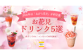 今年は「ながら花見」が新定番！『デリッシュキッチン』が コンビニで揃う材料で作れる「お花見ドリンクレシピ5選」を公開。