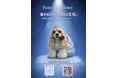 半年で全国へ！SNS発のINUFUKU（犬服）ブランド Fancy Petit Honey