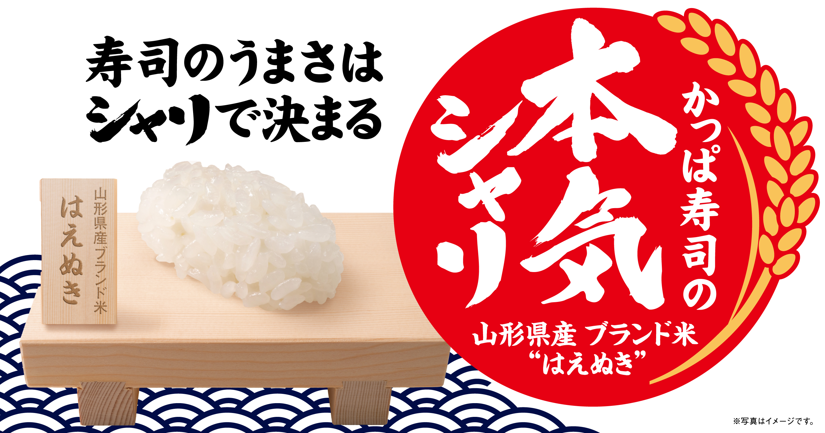 回転寿司チェーン初 ブレンド米からブランド米へ 寿司のうまさは シャリ で決まる かっぱ寿司 のシャリが山形県産ブランド米 はえぬき に カッパ クリエイト株式会社のプレスリリース