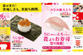 かっぱ寿司に春がきた! 美味しさも、笑顔も満開の『うにがきた!とろもきた!花よりお寿司祭り』開催!