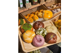 【8月10日（月）オープン】韓国発ベーグル専門店「AREUM BAGEL（アルムベーグル）」が小岩に出店