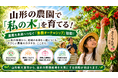 果樹農家の「収穫頼み」を変える！「育つ時間」を価値にする果樹オーナーシップ始動！