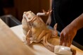 修業期間を「数年」から「1日」へ。福岡の関東風焼鳥の先駆者「焼き鳥 貴」が、店を休業して技術を完全伝授する実践型講習企画「焼鳥Master’s Association」を8月より本格始動！