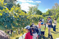 【北海道・七飯町】秋のワイン祭り！はこだてわいん「秋の蔵出し大市」開催！この日だけの特別販売「地域還元ワイン」＆親子で楽しめるぶどう収穫体験！