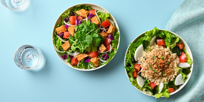 『チリマヨチキンとパクチーの旨辛サラダ』（左）と『和風ガパオと三陸産わかめの梅サラダ』（右）