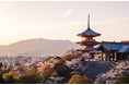 【春の桜旅へ出かけよう!】VMG HOTELS & UNIQUE VENUESの5エリア12会場でお花見スポット公開&お花見セットプラン新登場!