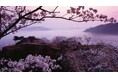【春の絶景!桜や新緑の息吹を楽しむ】竹田城跡「春の登山セット」販売|竹田城 城下町 ホテル EN|2025年3月1日~2025年5月31日