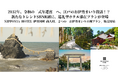 【新登場】2032年、令和の「式年遷宮」へ、江戸のお伊勢まいり復活!? 新トレンドSBNR層に、巡礼型ホテル滞在プラン