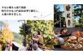 平安の雅を五感で堪能する特別ランチプラン 時代祭を応天門前最前列で観覧し、京都の秋を楽しむ。