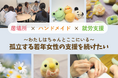 「働きたい。でも人が怖い」孤立する若年女性に“居場所”と“収入”を。ハンドメイドを通じた新たな自立支援モデル『Daisy Program』継続へクラウドファンディング開始