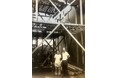 1945年創業、80年続く東京・西荻窪の果物屋を27歳の孫世代が承継。「果寮中村屋」として2026年12月オープン