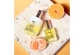 愛媛県産“温州みかん”のロス果実を生かした、サスティナブルフレグランス。大人気の「ミカンコレクション」がアップデートして登場！