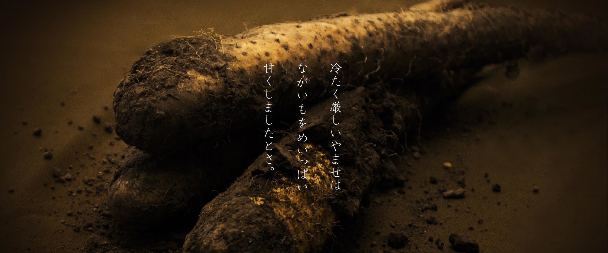 日本一の一次産品の価値を世界に 青森県産ながいも やませながいも ブランド化に向け 加工 販売を開始 材 株式会社のプレスリリース