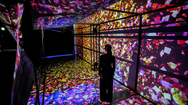 Ascii Jp 体感型水族館 Nifrel ニフレル の新展示ゾーンに立体音響とプロジェクションマッピングを活用したインスタレーションを納入