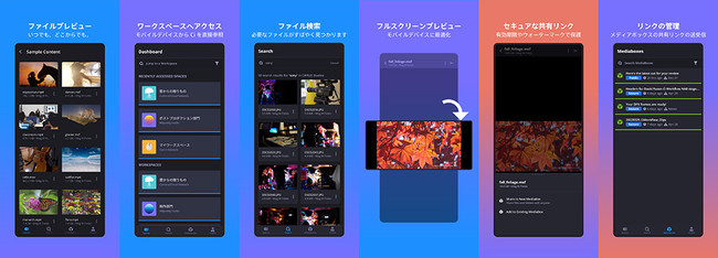 「Ci View & Share Media」の使用例とUI