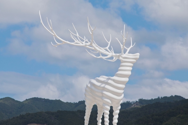 Kohei Nawa, White Deer(Oshika)