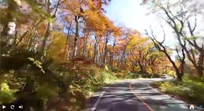 [VR動画表示サンプル] 走行する車載カメラから撮影した360度ドライブ動画を配信