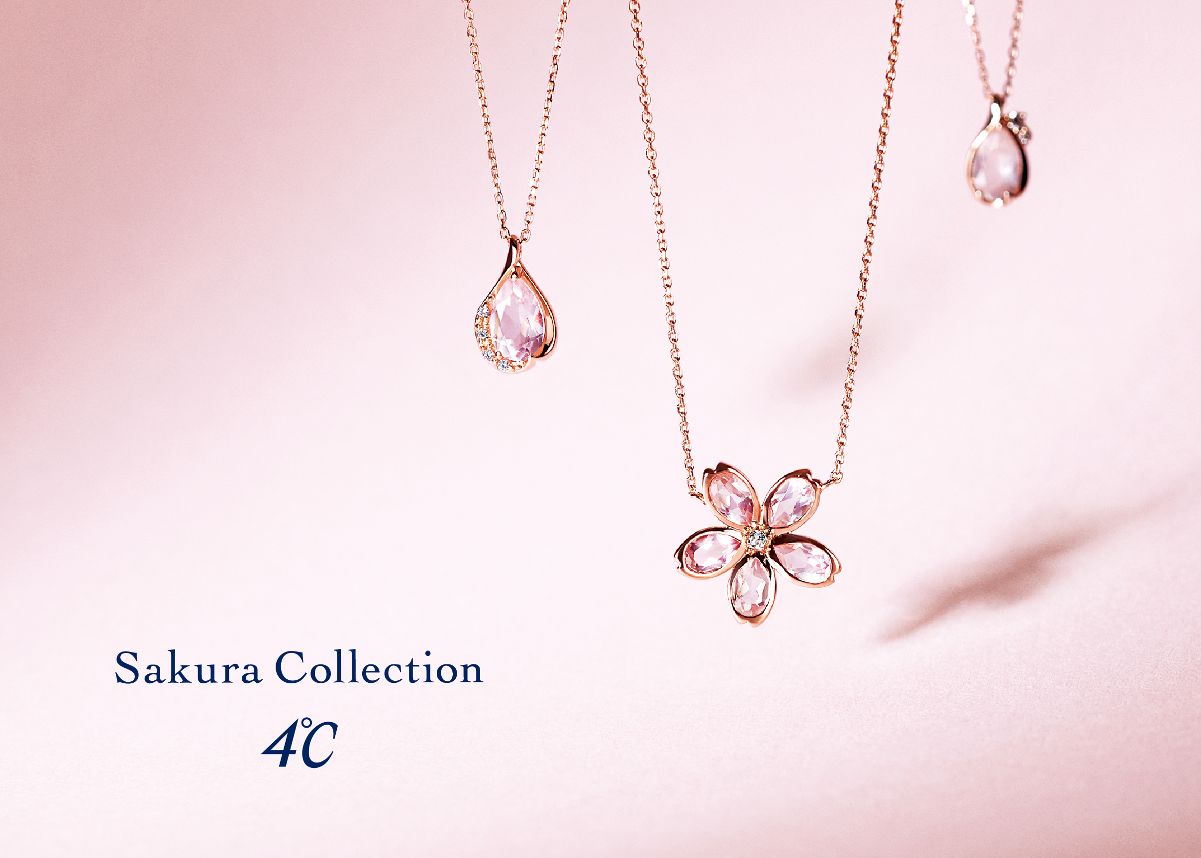 4℃ Sakura Collection-