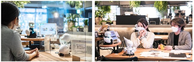 卓上型OriHimeに搭乗したOriHimeパイロットがお客様にメニューのご説明をしながらオーダーを伺います 卓上型OriHimeに搭乗したOriHimeパイロットがお客様にメニューのご説明をしながらオーダーを伺います