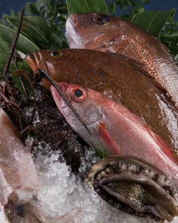 中国料理 皇家龍鳳「五島列島の恵みを味わうディナーコース」ではお好きな魚介と調理法を選べます