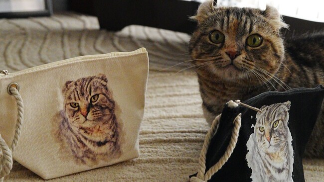 SNSで話題の猫メメちゃんがポーチに、MÊMÊ HOUSEから新作