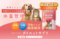 【獣医師監修】新登場！希少成分「AKK菌」を配合した犬猫用ダイエットサプリで、ストレスフリーな体型管理を実現