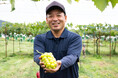 ぶどうの神様・飯塚芳幸氏のもとで修業した元商社マン／長野の農園『Y’s Grape Quartet』が公式通販サイトを開設・販売開始