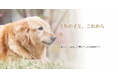 高齢ペットとの暮らしで「知っておきたい」を一冊に。無料ガイドブックと情報サイト「うちの子と、これからも」を公開