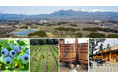Nasu 661 WINE HILLS「ワイン＝ブドウ」を超えて　那須御用邸の麓、ブルーベリーと里山の丘