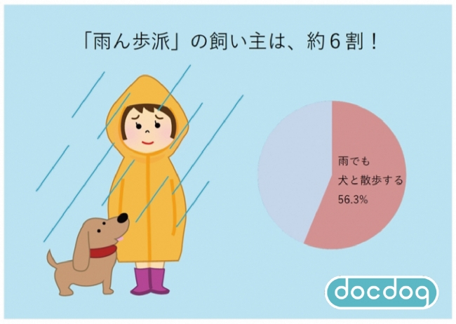 雨の日でも愛犬と散歩をする 雨ん歩派 飼い主は約6割 雨ん歩のお困りごとは 愛犬の足汚れ 株式会社ディライトクリエイションのプレスリリース