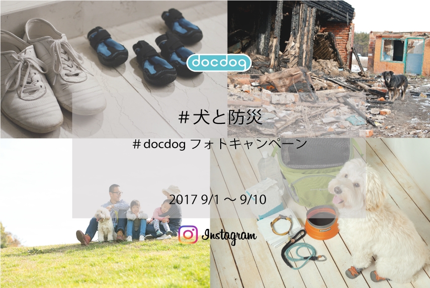 D19222 32 993691 3