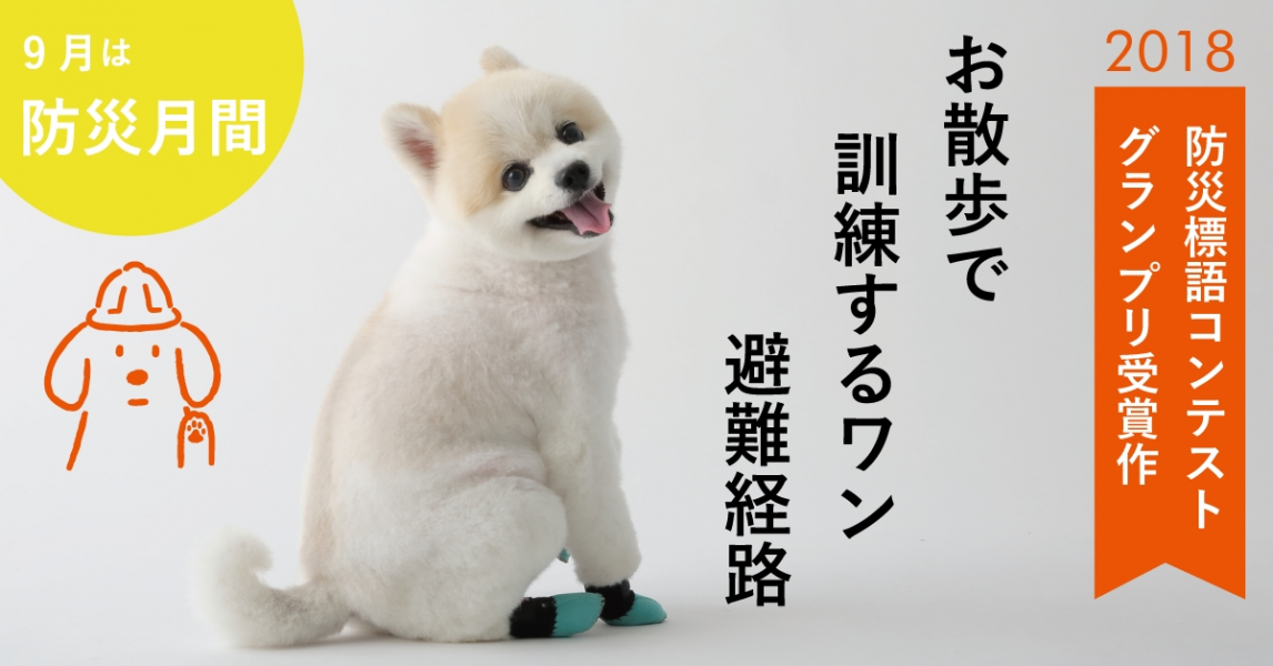 今年の ペットの防災 標語はこれで決まり Peco Docdog 防災の日 標語コンテスト18 結果発表 株式会社ディライトクリエイションのプレスリリース