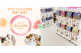 「笑にゃん日和Catchu The Future」共に生きる社会の実現へ〜企業が支える持続可能などうぶつ保護の支援モデル〜
