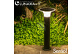 【新発売】朝まで明るくいて高感度な人感センサー搭載されてる「Sensol(センサル)」、新登場。