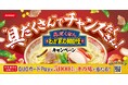 「わが家の麺自慢」シリーズ(家庭用冷凍食品)でプレゼントキャンペーン「“具だくさん”でチャンスたくさん！」実施