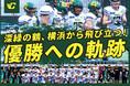 横浜ベイクレーンズ、クラウドファンディング「深緑の鶴、横浜から飛び立つ!優勝への軌跡 #横浜ベイクレーンズ」をスポチュニティで本日10時より開始!