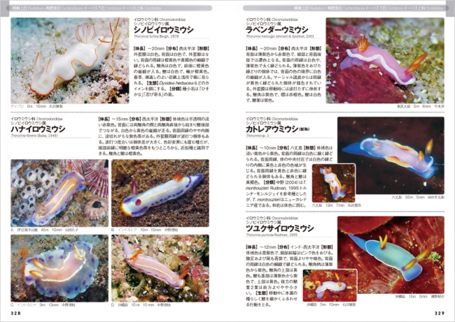 美しい色彩と多様な形態 日本近海で見られるウミウシ 1 441種を収録した図鑑を発売 株式会社 文一総合出版のプレスリリース