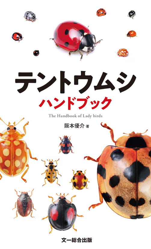身近で見られるかわいい昆虫、テントウムシの本格的な識別図鑑。日本に 