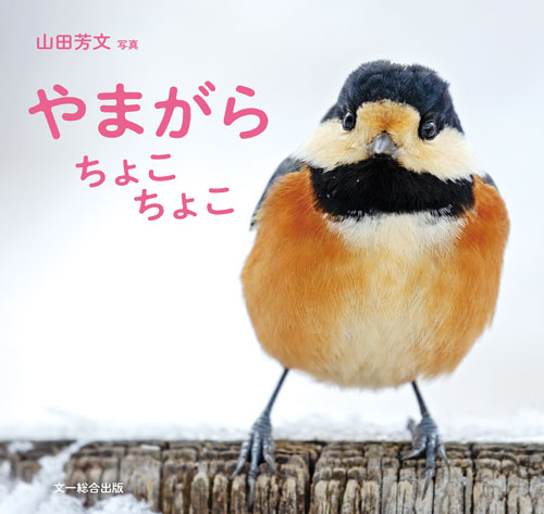 ちっちゃくて かわいくて 好奇心旺盛な身近な小鳥 ヤマガラ の日本初写真集 やまがら ちょこちょこ 株式会社 文一総合出版のプレスリリース