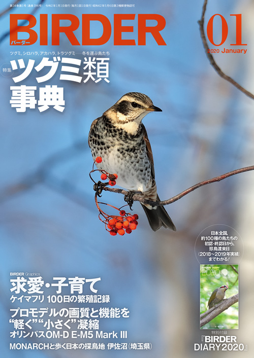 日本で唯一のバードウォッチング雑誌『BIRDER（バーダー）』。12／16発売の2020年1月号は、野鳥観察にフル活用できる“特別付録の手帳付き”！