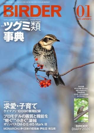 日本で唯一のバードウォッチング雑誌『BIRDER（バーダー）』。12／16