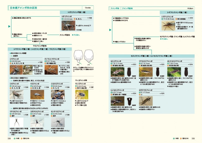 真の水生昆虫 の真の姿がわかる 新たな水生昆虫図鑑の金字塔 ネイチャーガイド 日本の水生昆虫 発売 株式会社 文一総合出版のプレスリリース