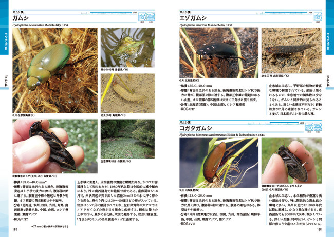 真の水生昆虫 の真の姿がわかる 新たな水生昆虫図鑑の金字塔 ネイチャーガイド 日本の水生昆虫 発売 株式会社 文一総合出版のプレスリリース