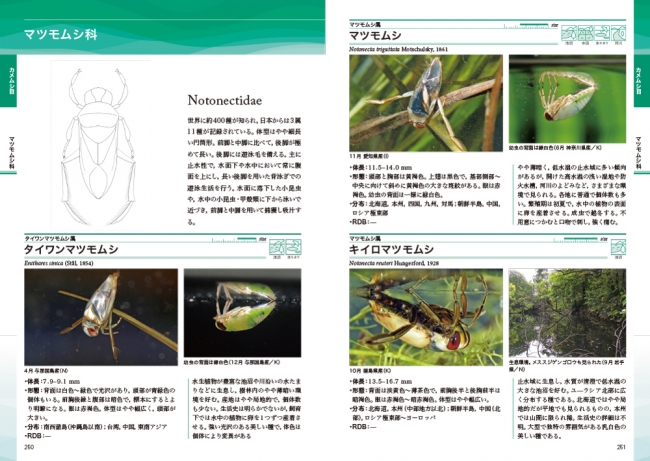 真の水生昆虫 の真の姿がわかる 新たな水生昆虫図鑑の金字塔 ネイチャーガイド 日本の水生昆虫 発売 株式会社 文一総合出版のプレスリリース