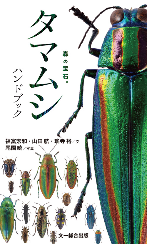 森の宝石と称される美しい昆虫 日本産タマムシ の識別図鑑 本日発売 株式会社 文一総合出版のプレスリリース