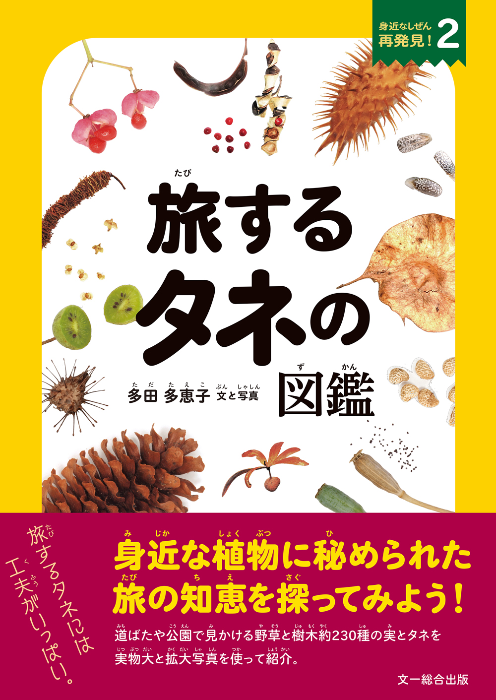 タネに秘められた植物の知恵と工夫を大公開!写真絵本【旅するタネの図鑑】発売!|株式会社 文一総合出版のプレスリリース いのちある野の花 1巻春-夏、2巻秋·冬