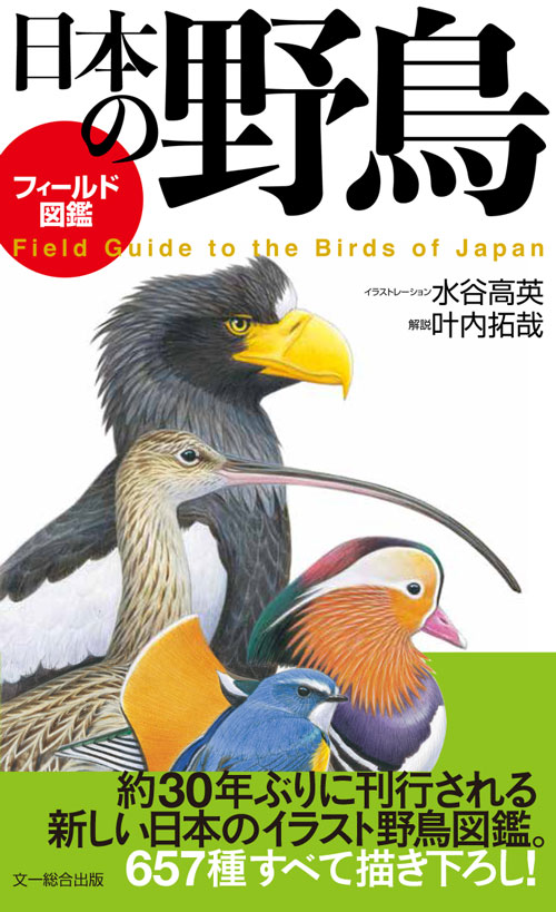日本では約30年ぶり イラストによる野鳥図鑑 ついに発売 株式会社 文一総合出版のプレスリリース